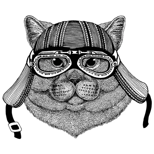 Дикий кот байкер в мотоциклетном шлеме. Ручной рисунок для татуировки, эмблемы, значка, логотипа, пластыря, футболки . — стоковый вектор