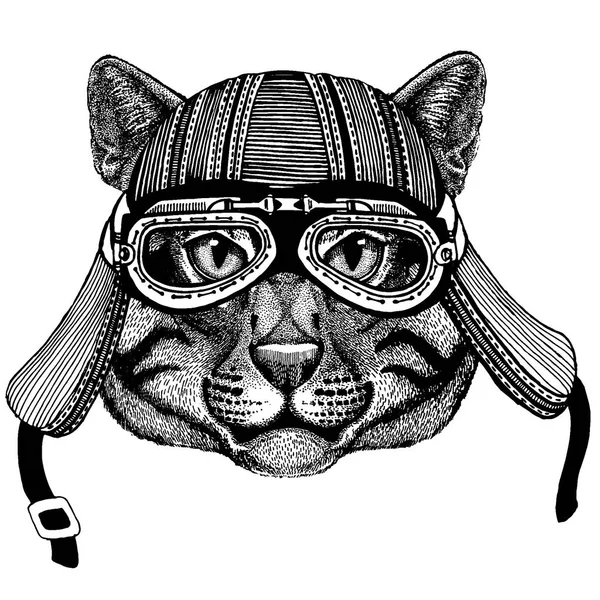 Animal motociclista gato selvagem usando capacete de motocicleta. Imagem desenhada à mão para tatuagem, emblema, crachá, logotipo, patch, t-shirt . — Vetor de Stock