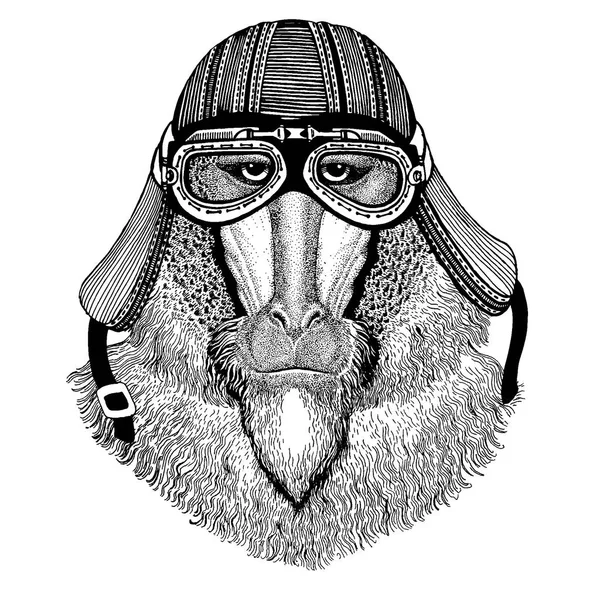 Macaco, babuíno, macaco-cão, macaco animal motociclista selvagem usando capacete de motocicleta. Imagem desenhada à mão para tatuagem, emblema, crachá, logotipo, patch, t-shirt . —  Vetores de Stock