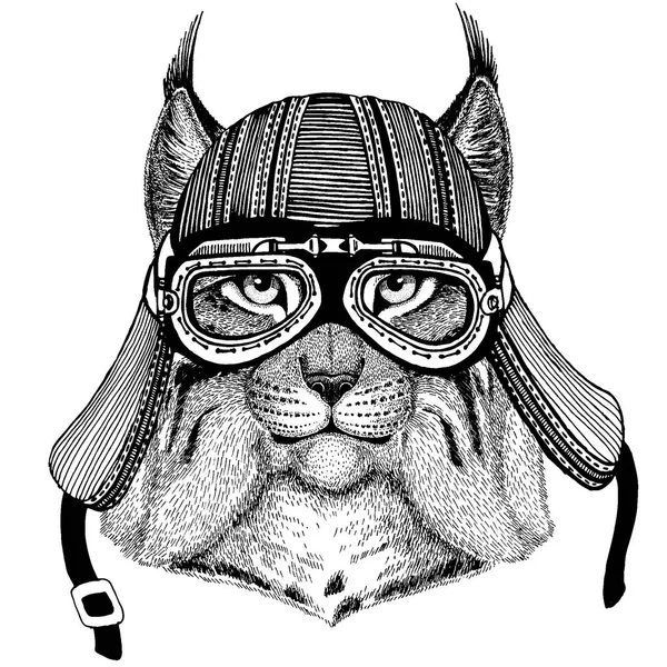 Wild cat, lynx, bobcat, trot wild biker animal wearing motorcycle helmet. Hand drawn image for tattoo, emblem, badge, logo, patch, t-shirt. — Stock Vector