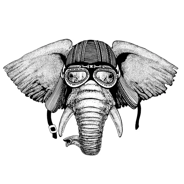 Animal motard sauvage éléphant africain ou indien portant un casque de moto. Image dessinée à la main pour tatouage, emblème, insigne, logo, patch, t-shirt . — Image vectorielle