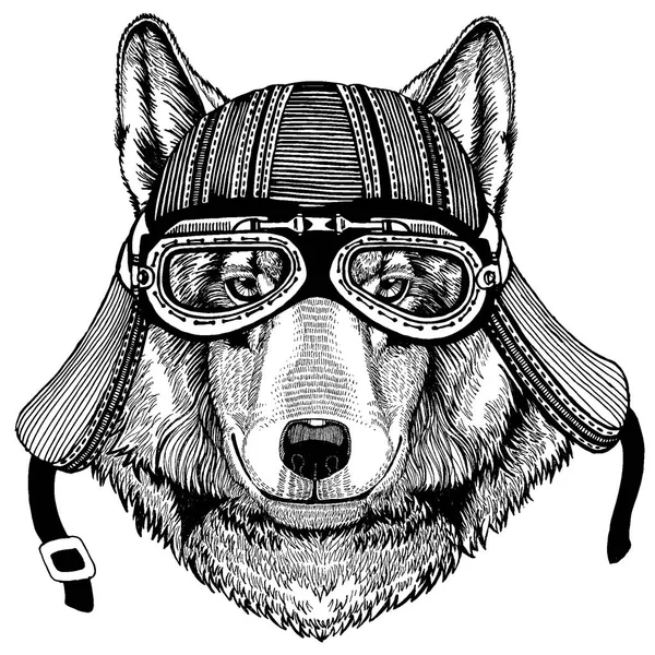 Lobo, animal motorista salvaje perro con casco de motocicleta. Imagen dibujada a mano para tatuaje, emblema, insignia, logotipo, parche, camiseta . — Archivo Imágenes Vectoriales