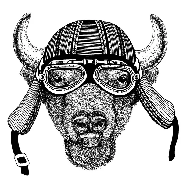 Buffalo, bison, bœuf, taureau motard sauvage portant un casque de moto. Image dessinée à la main pour tatouage, emblème, insigne, logo, patch, t-shirt . — Image vectorielle