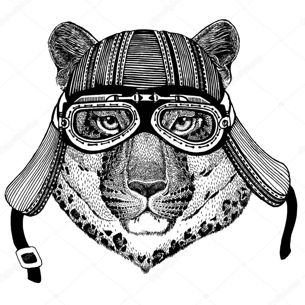 Wild cat, leopard, jaguar, panther, biker, animal wearing motorcycle helmet. Hand drawn image for tattoo, emblem, badge, logo, patch, t-shirt.