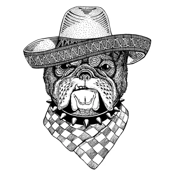 Bulldog, perro con sombrero mexicano tradicional. Tocado clásico, fiesta, fiesta . — Archivo Imágenes Vectoriales