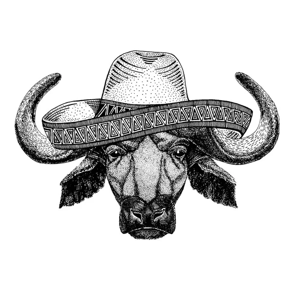 Búfalo, toro, buey con sombrero mexicano tradicional. Tocado clásico, fiesta, fiesta . — Vector de stock