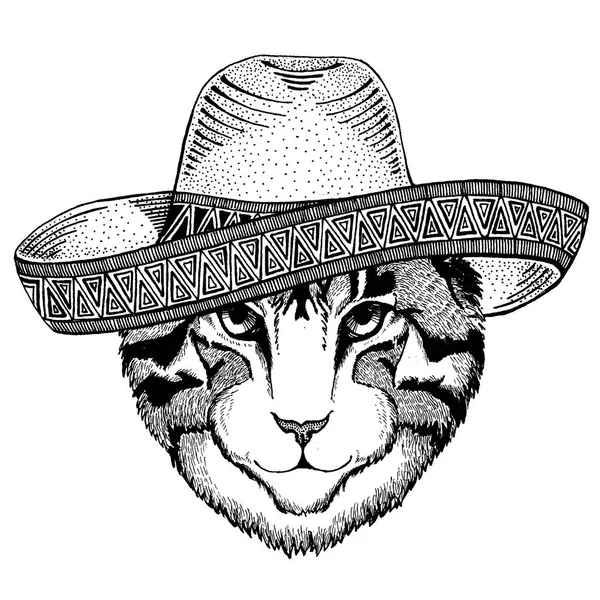 Cat wearing traditional mexican hat. Classic headdress, fiesta, party. — Stock Vector