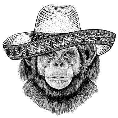 Geleneksel Meksika şapkası şempanze maymun. Klasik headdress, fiesta, parti.