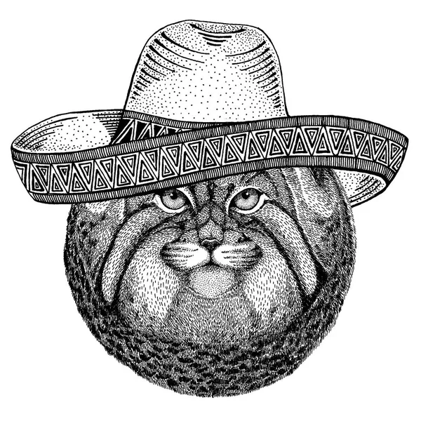 Manul, 전통적인 멕시코 모자를 착용 하는 야생 고양이 고전적인 머리 장식, 축제, 파티. — 스톡 벡터