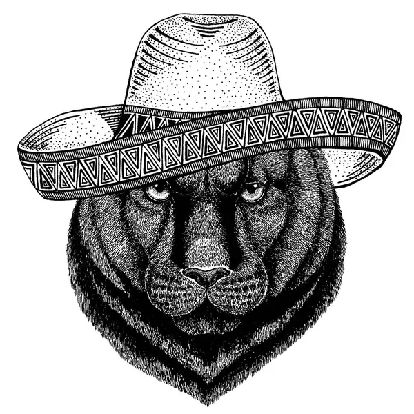 パンサー プーマ クーガー野生猫が伝統的なメキシコの帽子をかぶっています。古典的なヘッドドレス、フィエスタ、パーティー. — ストックベクタ