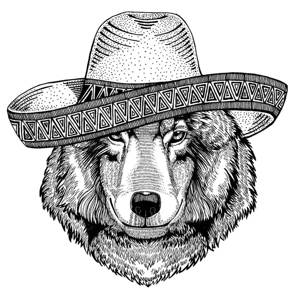 Wolf, cane che indossa il tradizionale cappello messicano. Copricapo classico, festa, festa . — Vettoriale Stock
