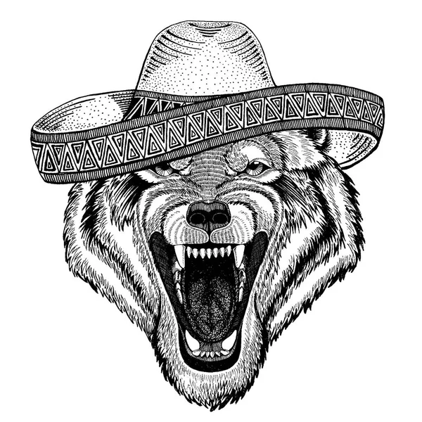 늑대, 개 입고 전통적인 멕시코 모자입니다. 고전적인 머리 장식, 축제, 파티. — 스톡 벡터