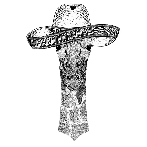 Camelopardo, girafa usando chapéu mexicano tradicional. Clássico para a cabeça, festa, festa —  Vetores de Stock