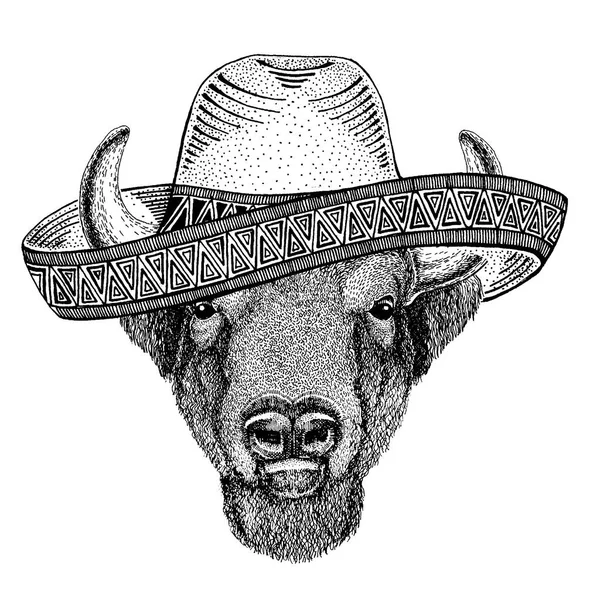 Buffalo, bison, oxe, tjuren traditionell mexikansk hatt. Klassiska huvudbonad, fiesta, party. — Stock vektor