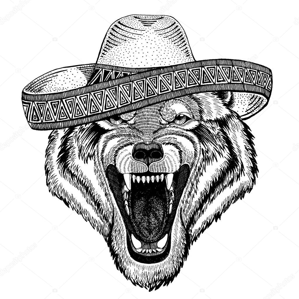 Wolf, dog wearing traditional mexican hat. Classic headdress, fiesta party