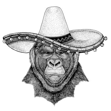 Gorilla, Monkey, maymun, geleneksel Meksikalı şapka Sombrero giyiyor. Klasik Headdress, Fiesta, parti.
