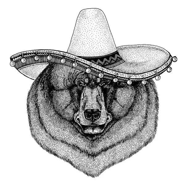 Bear dragen traditionele Mexicaanse hoed. Klassieke hoofdtooi, fiesta, party. — Stockvector