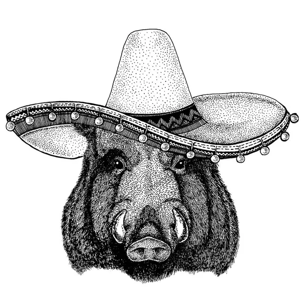 Aper, boar, hog, wild boar wearing traditional mexican hat. Classic headdress, fiesta, party. — Stock Vector