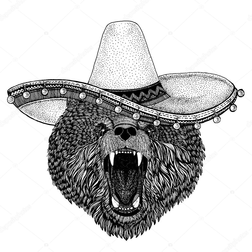 Bear wearing traditional mexican hat. Classic headdress, fiesta, party