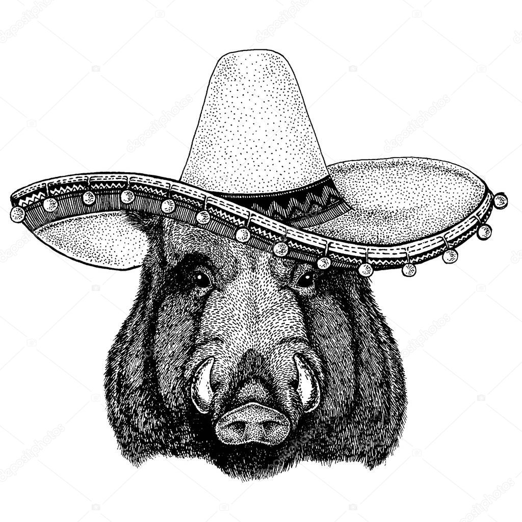 Aper, boar, hog, wild boar wearing traditional mexican hat. Classic headdress, fiesta party
