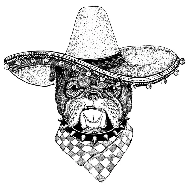 Bulldog, perro con sombrero mexicano tradicional. Tocado clásico, fiesta, fiesta . — Archivo Imágenes Vectoriales