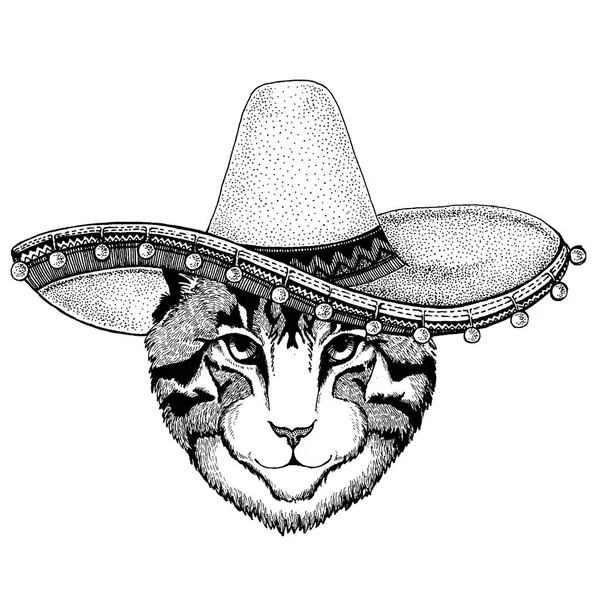 Gato usando chapéu mexicano tradicional. Clássico para a cabeça, festa, festa . —  Vetores de Stock