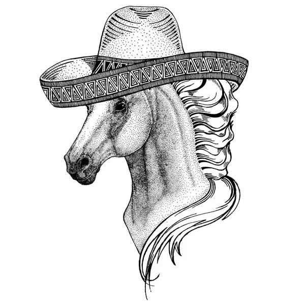 Cheval, hoss, chevalier, monture, coursier portant un chapeau mexicain traditionnel. Coiffure classique, fiesta, fête . — Image vectorielle