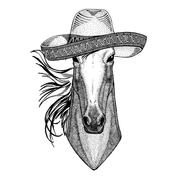 Cavallo, manzo, cavaliere, destriero, corsista con il tradizionale cappello messicano. Copricapo classico, festa, festa . — Vettoriale Stock