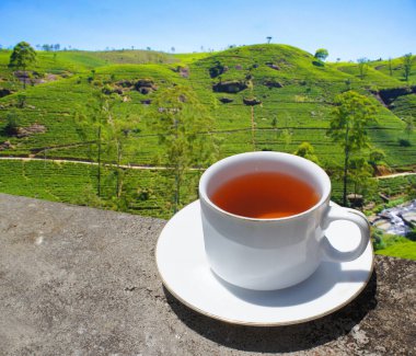 Sri Lanka çay tepeleri. Çay bardağı ve tarlası.