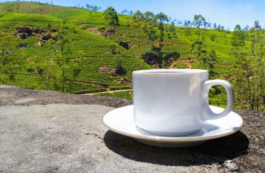 Sri Lanka çay tepeleri. Çay bardağı ve tarlası.