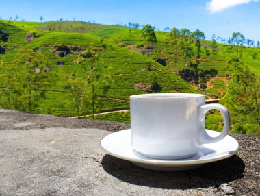 Sri Lanka çay tepeleri. Çay bardağı ve tarlası.