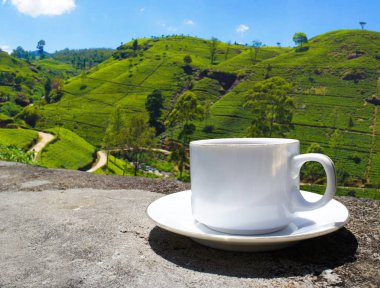 Sri Lanka çay tepeleri. Çay bardağı ve tarlası.