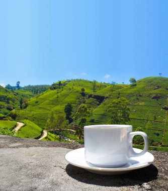 Sri Lanka çay tepeleri. Çay bardağı ve tarlası.