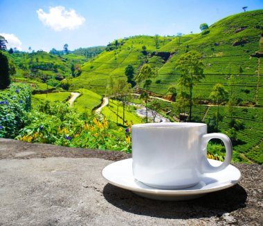 Sri Lanka çay tepeleri. Çay bardağı ve tarlası.