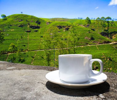 Sri Lanka çay tepeleri. Çay bardağı ve tarlası.