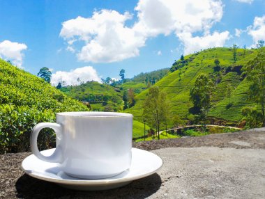 Sri Lanka çay tepeleri. Çay bardağı ve tarlası.