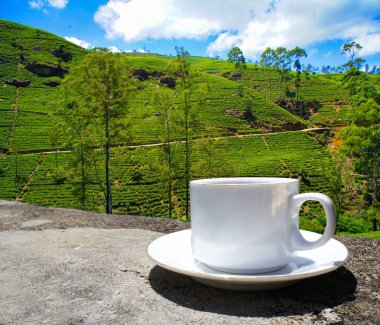 Sri Lanka çay tepeleri. Çay bardağı ve tarlası.