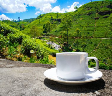 Sri Lanka çay tepeleri. Çay bardağı ve tarlası.