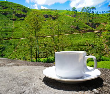 Sri Lanka çay tepeleri. Çay bardağı ve tarlası.