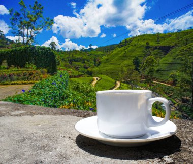 Sri Lanka çay tepeleri. Çay bardağı ve tarlası.