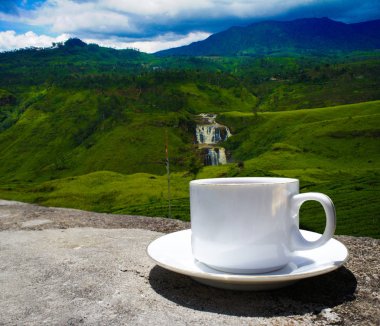 Sri Lanka çay tepeleri. Çay bardağı ve tarlası.