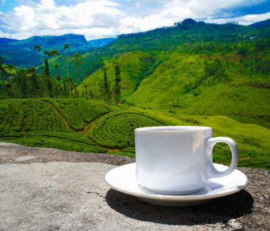 Sri Lanka çay tepeleri. Çay bardağı ve tarlası.