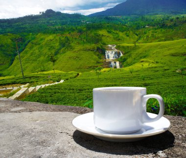 Sri Lanka çay tepeleri. Çay bardağı ve tarlası.