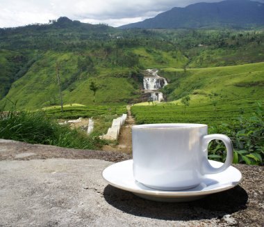 Sri Lanka çay tepeleri. Çay bardağı ve tarlası.