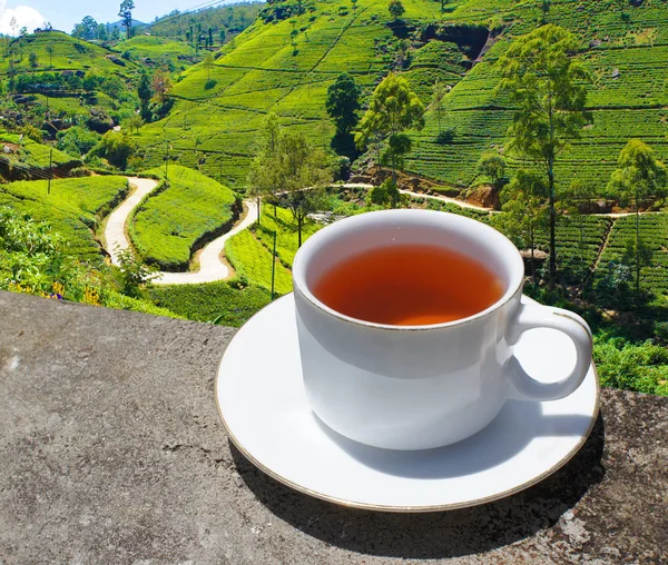 Sri Lanka collines de thé. Tasse à thé et plantation . — Photo