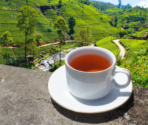 Чайные холмы Шри-Ланки. Чашка чая и плантация . — стоковое фото