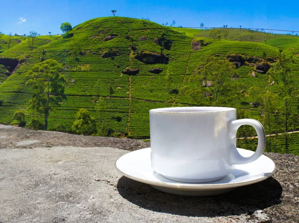 Sri Lanka çay tepeleri. Çay bardağı ve tarlası.
