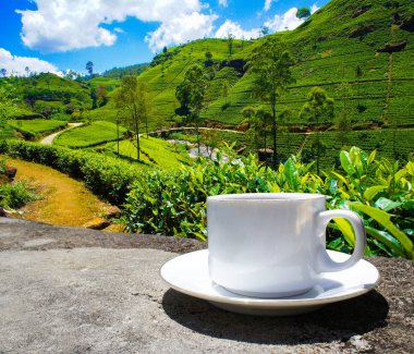 Sri Lanka çay tepeleri. Çay bardağı ve tarlası.