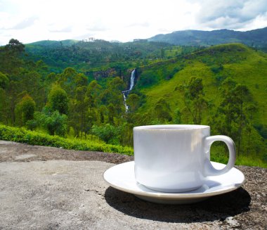 Sri Lanka çay tepeleri. Çay bardağı ve tarlası.