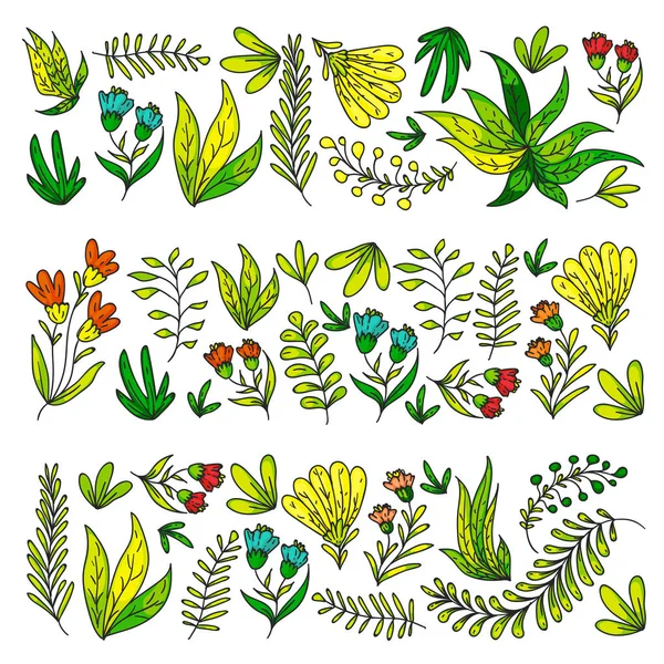 Vector de mano dibujado floral, hojas de elementos. Patrón para el logotipo, tarjeta de felicitación, diseño de la boda . — Archivo Imágenes Vectoriales